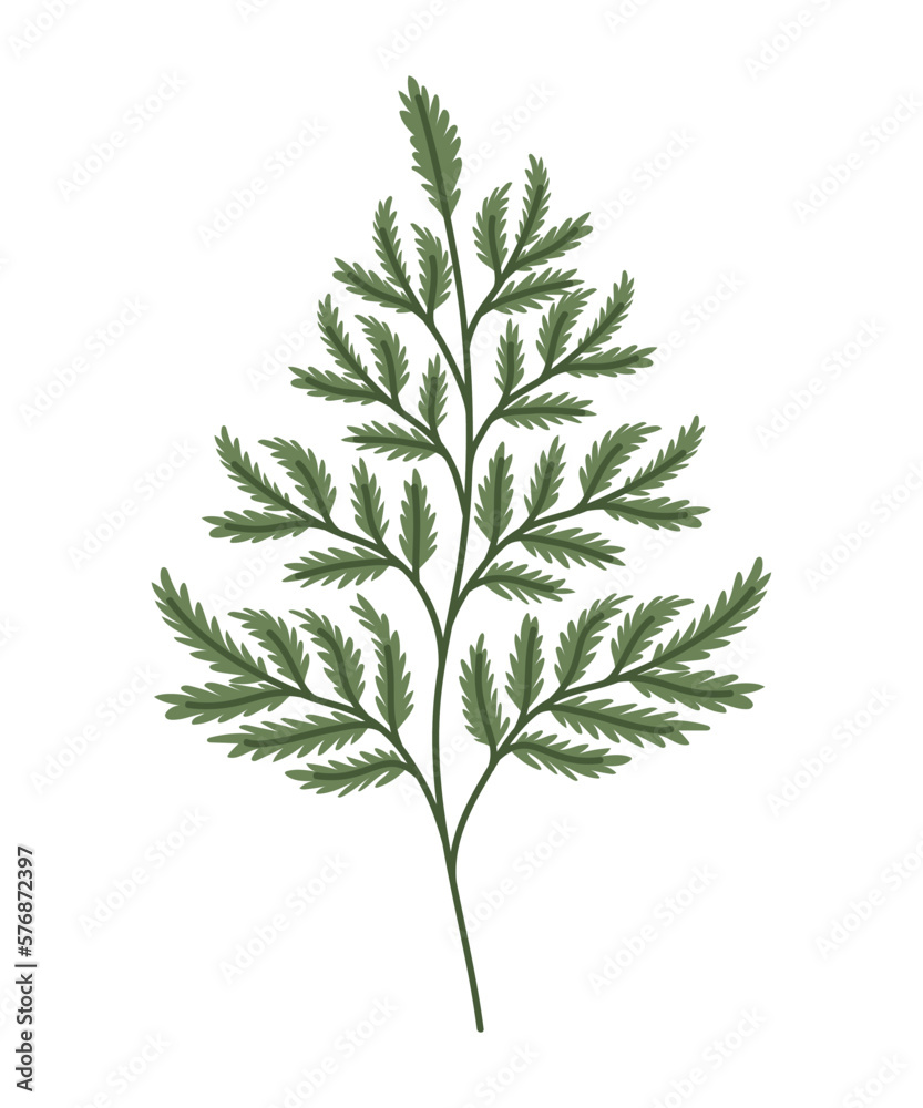 Fototapeta premium green leaves illustration