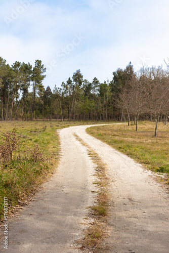 Rural empty road in Viseu, Portugal