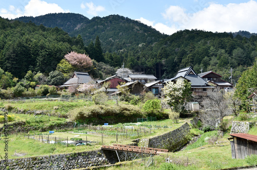 春の京都大原 京都市左京区