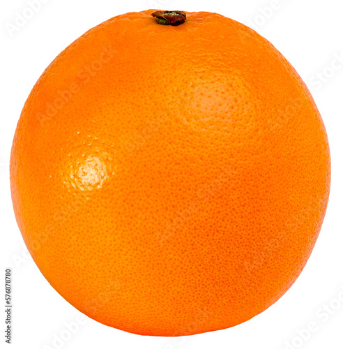 A beautiful single bright orange