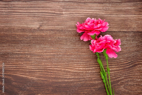 Mother's Day carnation (wood grain background)