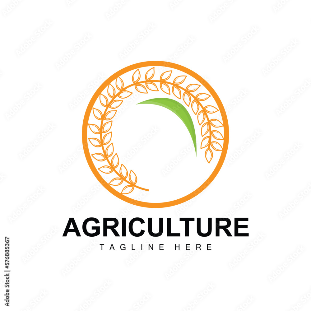 Rice Logo, Agriculture Design, Vector Wheat Rice Icon Template Illustration