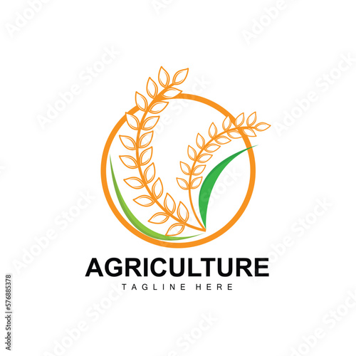 Rice Logo, Agriculture Design, Vector Wheat Rice Icon Template Illustration