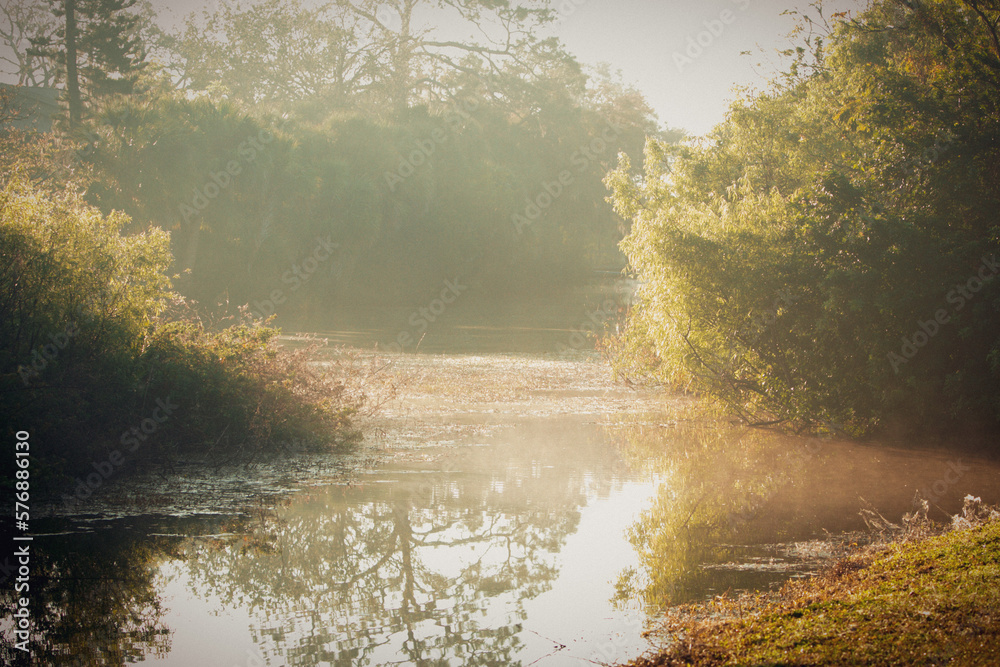 Obraz premium Florida Wildlife Lake