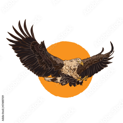 Bald Eagle flying vector illustration in vintage hand drawn style retro color, perfect for t shirt design and club ogo