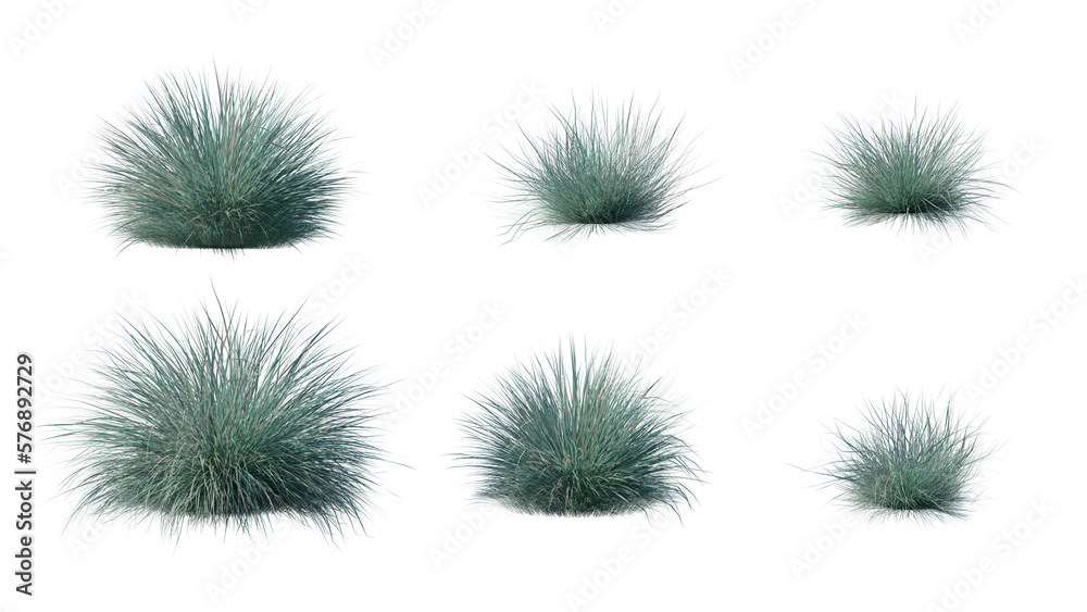 Beautiful flowers and grass for illustration Beautiful flowers and grass for illustration