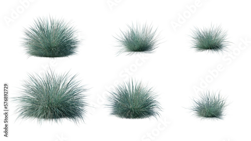 Beautiful flowers and grass for illustration