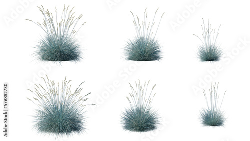 Beautiful flowers and grass for illustration