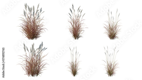 Fotografia Beautiful flowers and grass for illustration