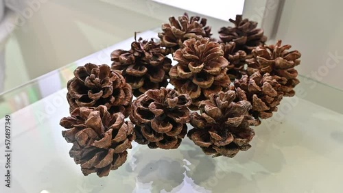 Pine nut cones are displayed during the Gulfood Exhibition in the United Arab Emirates. photo