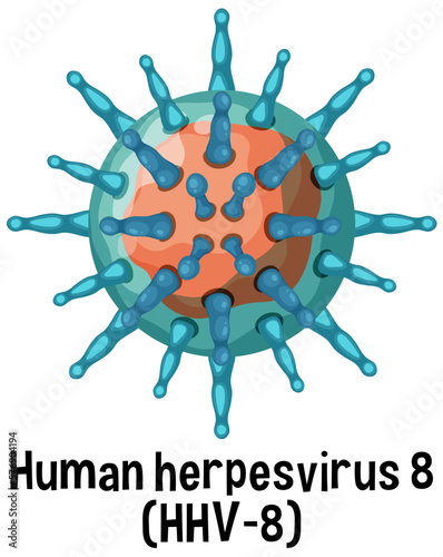Human herpesvirus 8 (HHV 8) with text photo