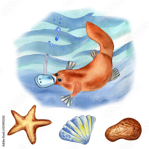 Cartoon platypus swimming watercolor illustration isolated on white. Cute Australian duckbill character hand drawn. Design element for print, wallpaper, textile, childish sticker, fabric, poster.