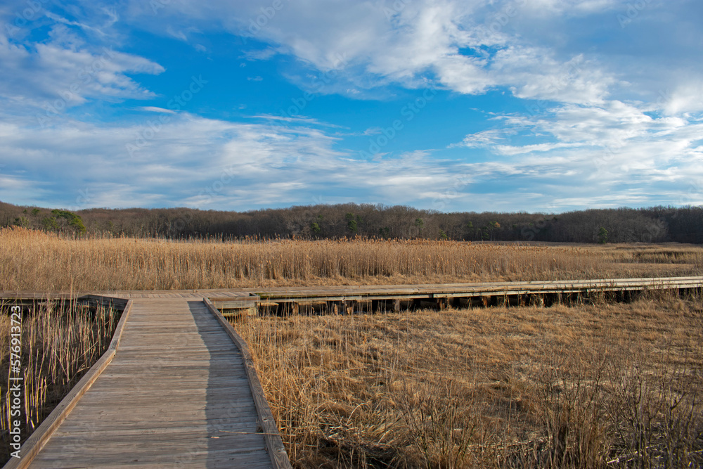Wooden walkway over marshland at Cheesequake Park in Matawan, New Jersey, on a partly cloudy winter day -06