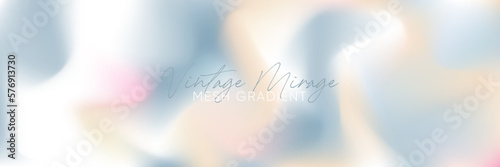 Multicolor gray blue and beige gradient blurred pattern background. Vector wide horizontal abstract minimal duotone backdrop template.