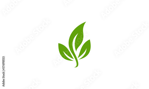 green plant isolated on white background