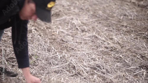 farmer checking the sowed corn on the notill field in Ukraine photo