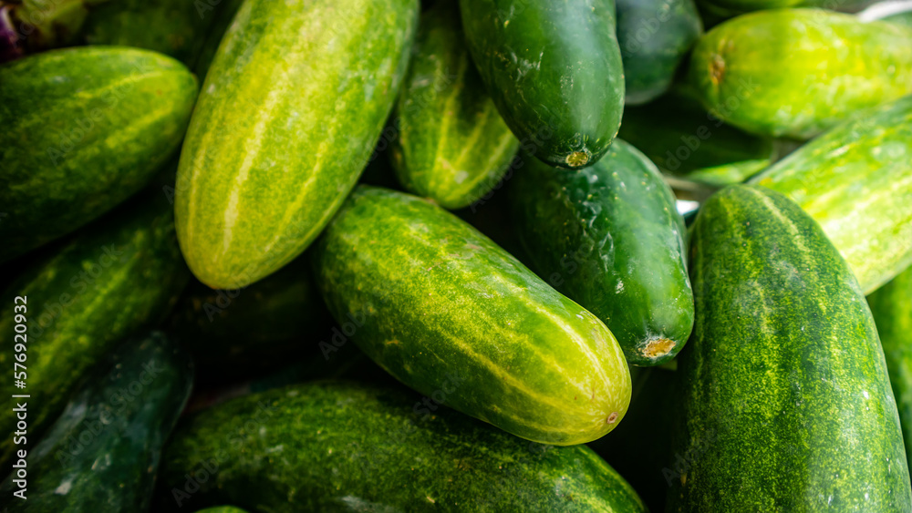 Cucumbers are sold in traditional markets Cucumbers are sold in traditional markets