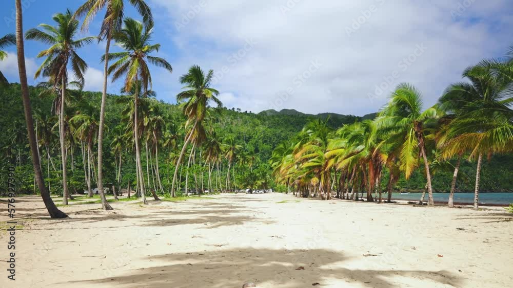 Large long wild beach with golden sand and turquoise sea. Tall palm trees and blue skies. Tropical paradise island in the Dominican Republic. Most beautiful beach. Vacation on the seashore. Large long wild beach with golden sand and turquoise sea. Tall palm trees and blue skies. Tropical paradise island in the Dominican Republic. Most beautiful beach. Vacation on the seashore.