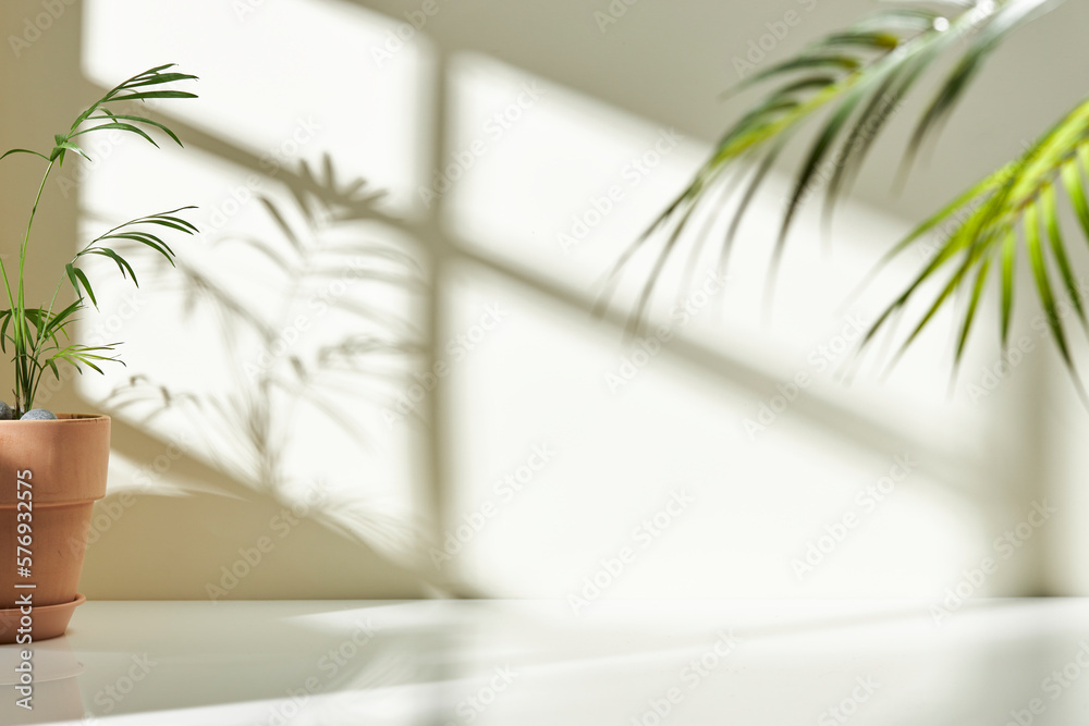 Various objects on a white tile background with warm sunlight shining through
