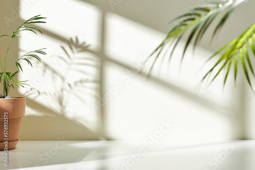 Fotografering Various objects on a white tile background with warm sunlight shining through