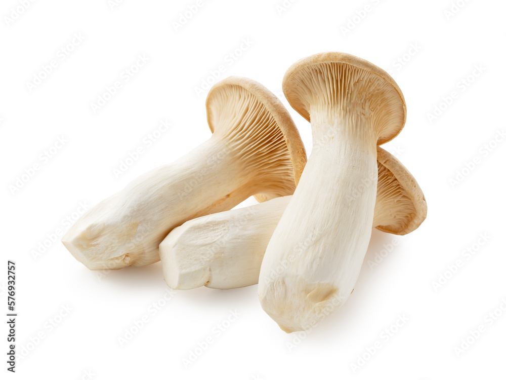 Fototapeta premium eryngii mushrooms placed on a white background.