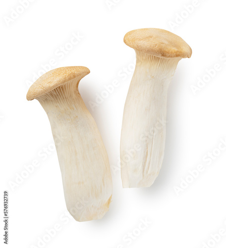 eryngii mushrooms placed on a white background.