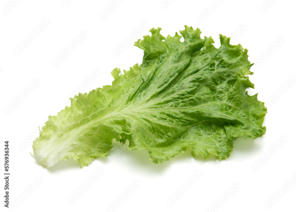 fresh green lettuce salad leaves isolated on white background fresh green lettuce salad leaves isolated on white background