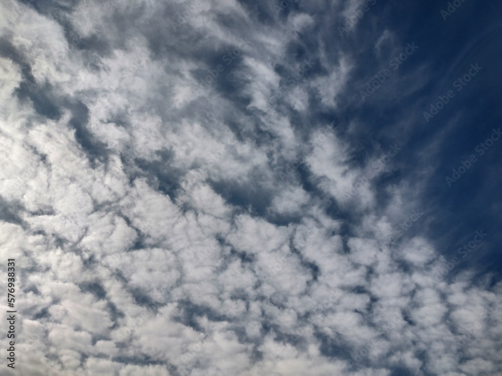 Obraz premium 東京のそら(23.3.1)