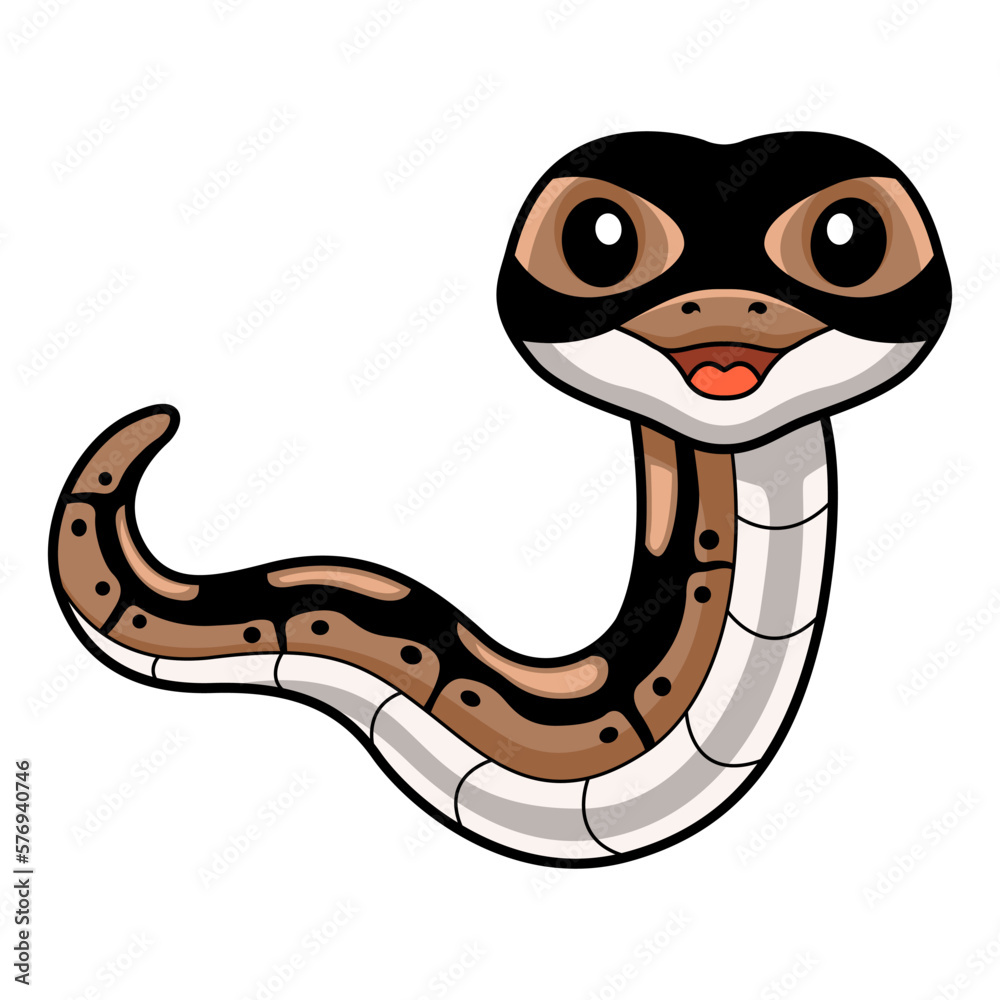Fototapeta premium Cute ball python snake cartoon