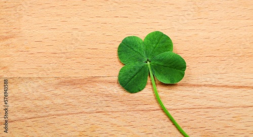 Four-leaf clover on a wooden background. Good luck background. © nipa