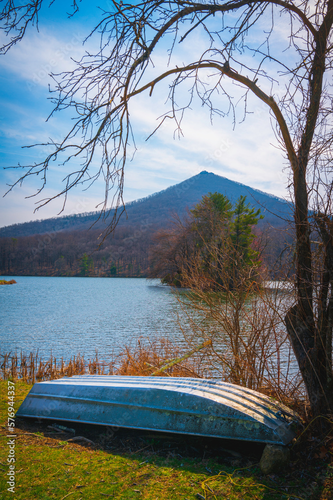 Tranquil spring nature landscape of Blue Ridge Mountains and Peaks of Otter Lake on the Blue Ridge Parkway in Bedford, Virginia, USA, metal dingy on the green under the barren tree