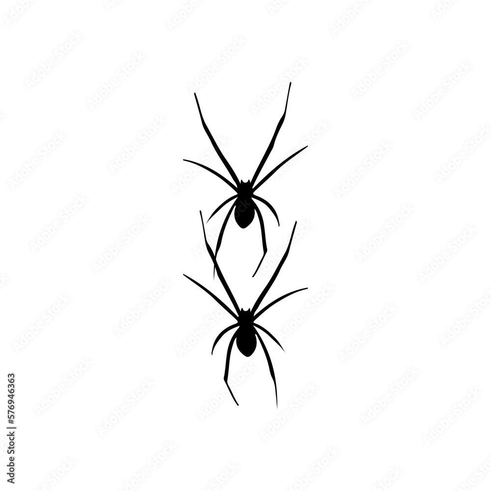 vector illustration of two black spiders vector illustration of two black spiders