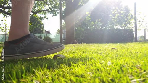 walking on the grass with sunlight in the background