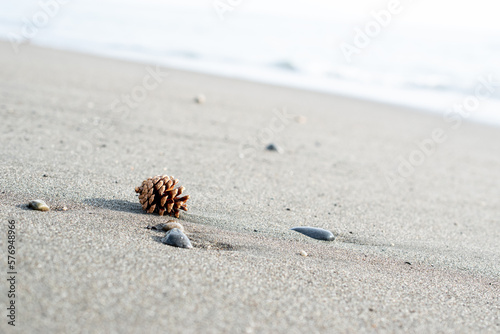 砂浜と松ぼっくり
