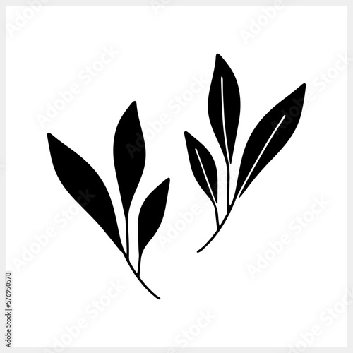 Branch with leaves clipart isolated. Eco doodle icon. Engraving Vector stock illustration. EPS 10