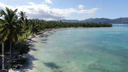 A flying tour over a beach adorned with magnifics coconuts tree. photo