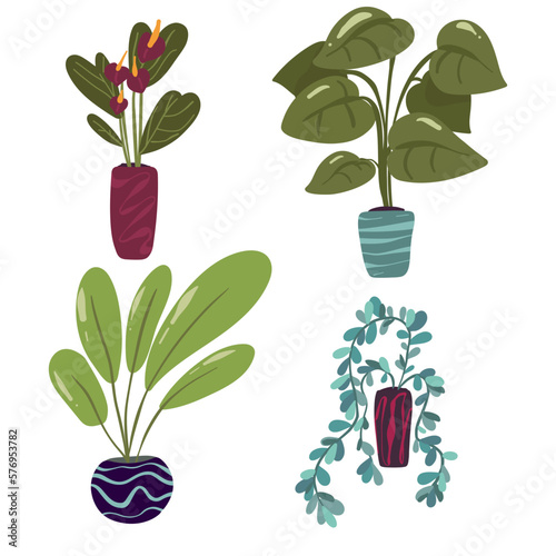 Organic flat houseplant collection Vector illustration. Isolated on white set collection.