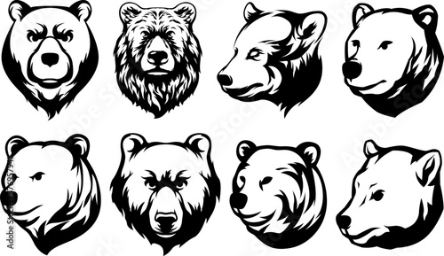 Head of bear. Abstract character illustration variant set. Graphic logo design template for emblem. Image of portrait.