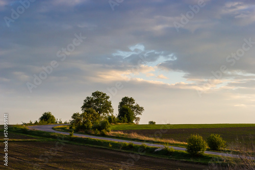 an empty road going forward between a green and plowed field with trees on the side in spring. Sunset