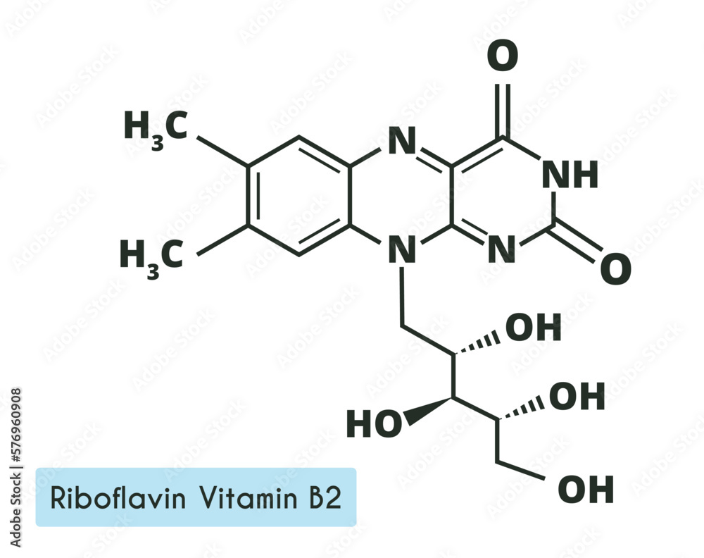 Vitamin B2. riboflavin Molecular chemical formula. Infographics. Vector illustration on white  background.