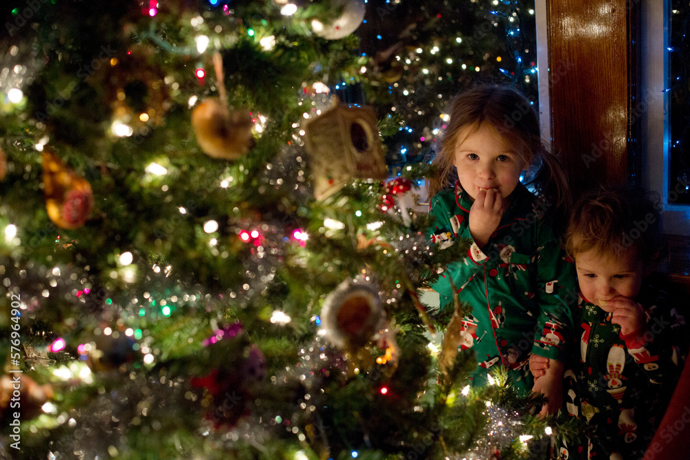 Playing by the Christmas tree. Playing by the Christmas tree.