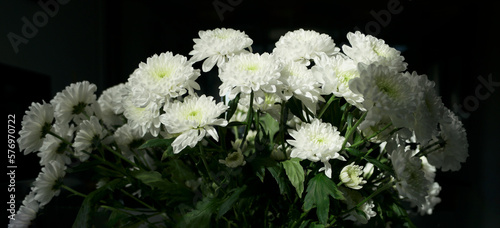 white flowers on a black background