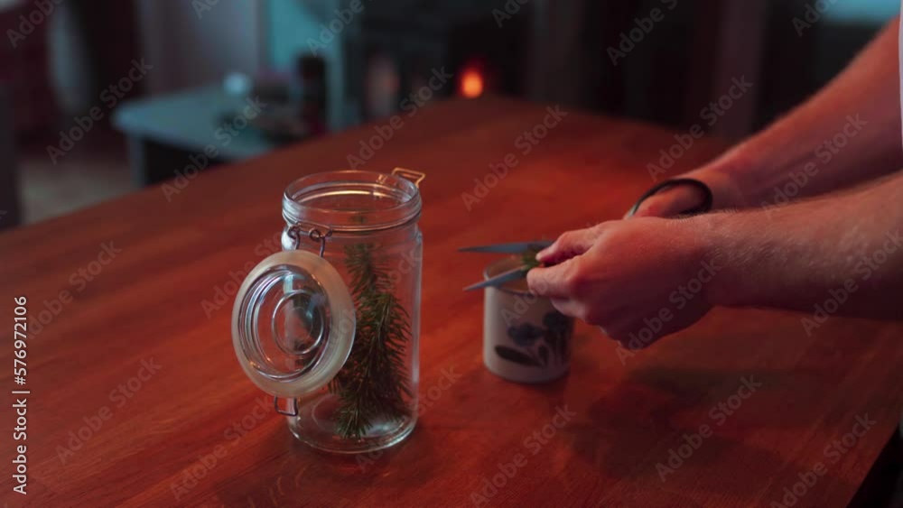Person Cutting Pine Tree Leaves Into Cup. Making Pine Needle Tea At Home. closeup Person Cutting Pine Tree Leaves Into Cup. Making Pine Needle Tea At Home. closeup