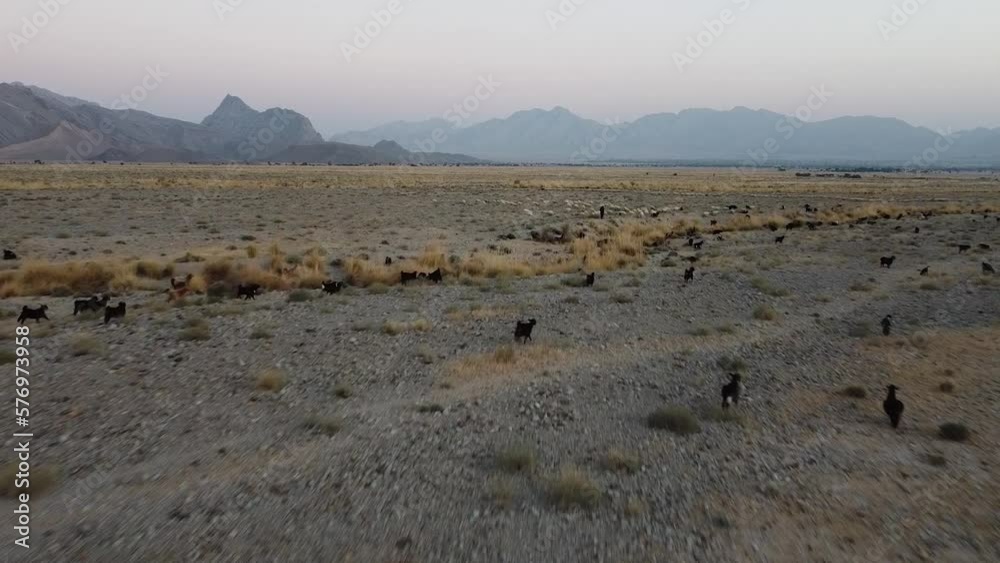 Serene view in the desert. Sand dunes at Chagai, Baluchistan, Pakistan.
Serene view in the desert. Sand dunes at Chagai, Baluchistan, Pakistan.