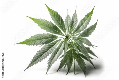 white cannabis plant isolated on white. Generative AI