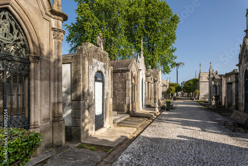 Walkway and trees in Agramonte Cemetery, Porto