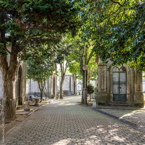 Walkway and trees in Agramonte Cemetery, Porto