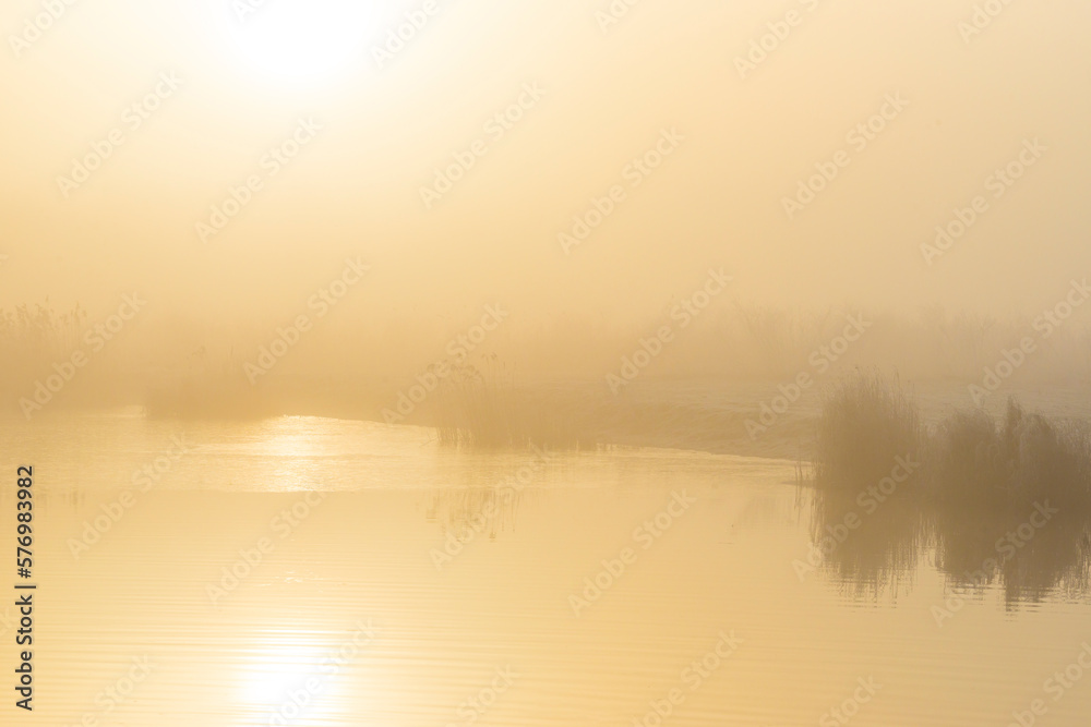 Fototapeta premium Reed along the edge of a frozen foggy lake in sunlight at sunrise in winter, Almere, Flevoland, The Netherlands, March 1, 2023