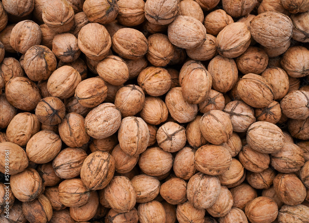 Natural walnut background texture. Walnuts in shell pattern. Natural walnut background texture. Walnuts in shell pattern.