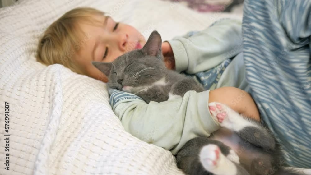 Portrait of Funny Little Boy Cuddling Gray Kitten Lying in a Bed. Pet and Children Concept. Young Cat and Happy Smiling Kid Sleeping Together at Home. Kitty Lovely Resting. Love to Animals. Close Up Portrait of Funny Little Boy Cuddling Gray Kitten Lying in a Bed. Pet and Children Concept. Young Cat and Happy Smiling Kid Sleeping Together at Home. Kitty Lovely Resting. Love to Animals. Close Up